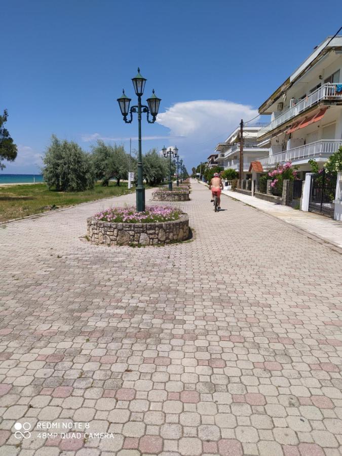 Aparthotel Hause Zorbas Paralia Dionisiou Zewnętrze zdjęcie