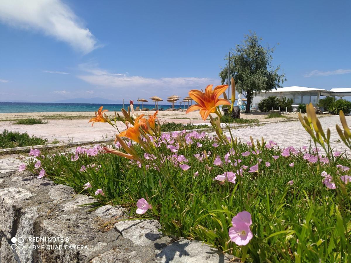 Aparthotel Hause Zorbas Paralia Dionisiou Zewnętrze zdjęcie